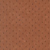 Moda Quail Run Triangle Dot Pumpkin