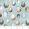 Northcott Feathered Nest Eggs Pale Blue
