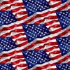 Henry Glass Wings of Freedom Packed Flag Blue/Multi