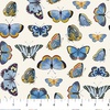 Northcott Something Blue Butterflies Cream