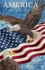 Northcott Stonehenge Stars and Stripes 13 Panel