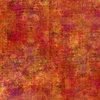 In the Beginning Fabrics Halcyon ll Brushed Orange