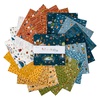 Created with Love 10" Squares by Riley Blake Designs