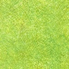 Anthology Fabrics Chameleon Batik Lime