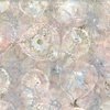 Hoffman Fabrics Jelly Fish Batiks Abstract Sea Texture Sanddollar