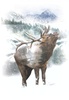 Hoffman Fabrics Call of The Wild Elk Panel