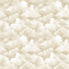 QT Fabrics Bearsville Clouds Tan