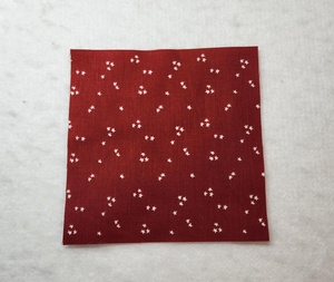 Cactus in the Cabin Quilt Sew-Along