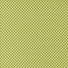 Moda Raspberry Summer Gingham Checks and Plaids Lime