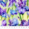 Northcott Infatuation Iris Feature Green/Multi