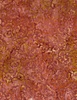 Wilmington Prints Copper Mountain Batiks Cheetah Prints Dusty Red
