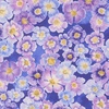 Moda Delphinium Auricula Agapanthus
