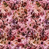 P&B Textiles 108 Inch Wide Backing Fabric Petal Play Allover Graphic Floral Red/Orange
