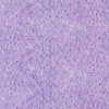 Moda Delphinium Palette Mauve