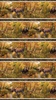 Northcott Naturescapes Wilderness Border Stripe Brown/Multi