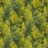 P&B Textiles Autumn Retreat Tree Texture Green