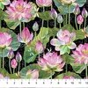 Northcott Water Lilies Feature Floral Black/Multi