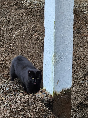 Bear Creek Quilting Company Studio