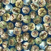 QT Fabrics Savage Kingdom Dinosaur Medallions Navy