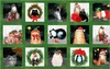 Windham Fabrics Meowy Christmas Festive Felines Pine