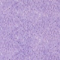 Moda Delphinium Palette Mauve