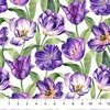 Northcott Tulip Garden Large Tulips While/Multi