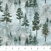 Northcott Stonehenge Eagle Pass Open Tress Light Blue/Multi