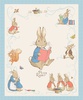 Riley Blake Designs The Tale of Peter Rabbit Peter Rabbit Panel
