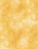 Wilmington Prints Sunkissed Texture Yellow