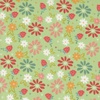 Moda Raspberry Summer Spring Berries Floral Mint