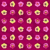 Studio E Fabrics Hummingbird Heaven Flower Dot Fuchsia