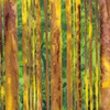Northcott Banyan Batiks Florentine Stripe Gold Green