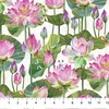 Northcott Water Lilies Feature Floral Cream/Multi