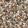 QT Fabrics Bearsville Animal Tondos Navy