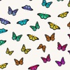 Andover Fabrics Color Wheel Butterfly Rainbow Day