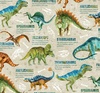 Northcott Dino Roar Dino with Words Beige/Multi