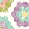 Riley Blake Designs Adel In Spring Hexagon Print