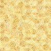 QT Fabrics Hunny Bunny Honeycomb Blender Butter