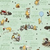 Riley Blake Designs Winnie The Pooh Main Green