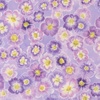 Moda Delphinium Auricula Mauve