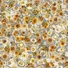 QT Fabrics Sunflower Serenade Sunflower Ephemera Gray