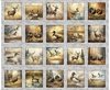 QT Fabrics Forest, Field and Stream Wildlife Pictures Patches Gray
