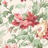 Maywood Studio Regal Rose Regal Rose Cream