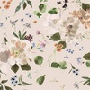 Windham Fabrics Bloomfield Peony Garden Shell