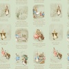 Riley Blake Designs Peter Rabbit and Benjamin Bunny Story Time Green