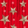 Studio E Fabrics Warm Winter Wishes Wood Grain Tossed Stars Red