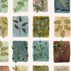 Windham Fabrics Bloomfield Tiny Botanicals Linen