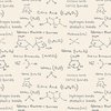 Blank Quilting Science Lab Molecular Formulas Ivory