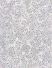 Wilmington Prints Granite Bay Batik Leafy Vines Gray