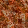 Studio E Fabrics Highlander Tie Dye Leaf Texture Multi